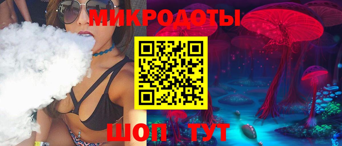 Северобайкальск  Псилоцибиновые грибы мухоморы  Псилоцибиновые грибы Psilocybe  Вход с VPN 
